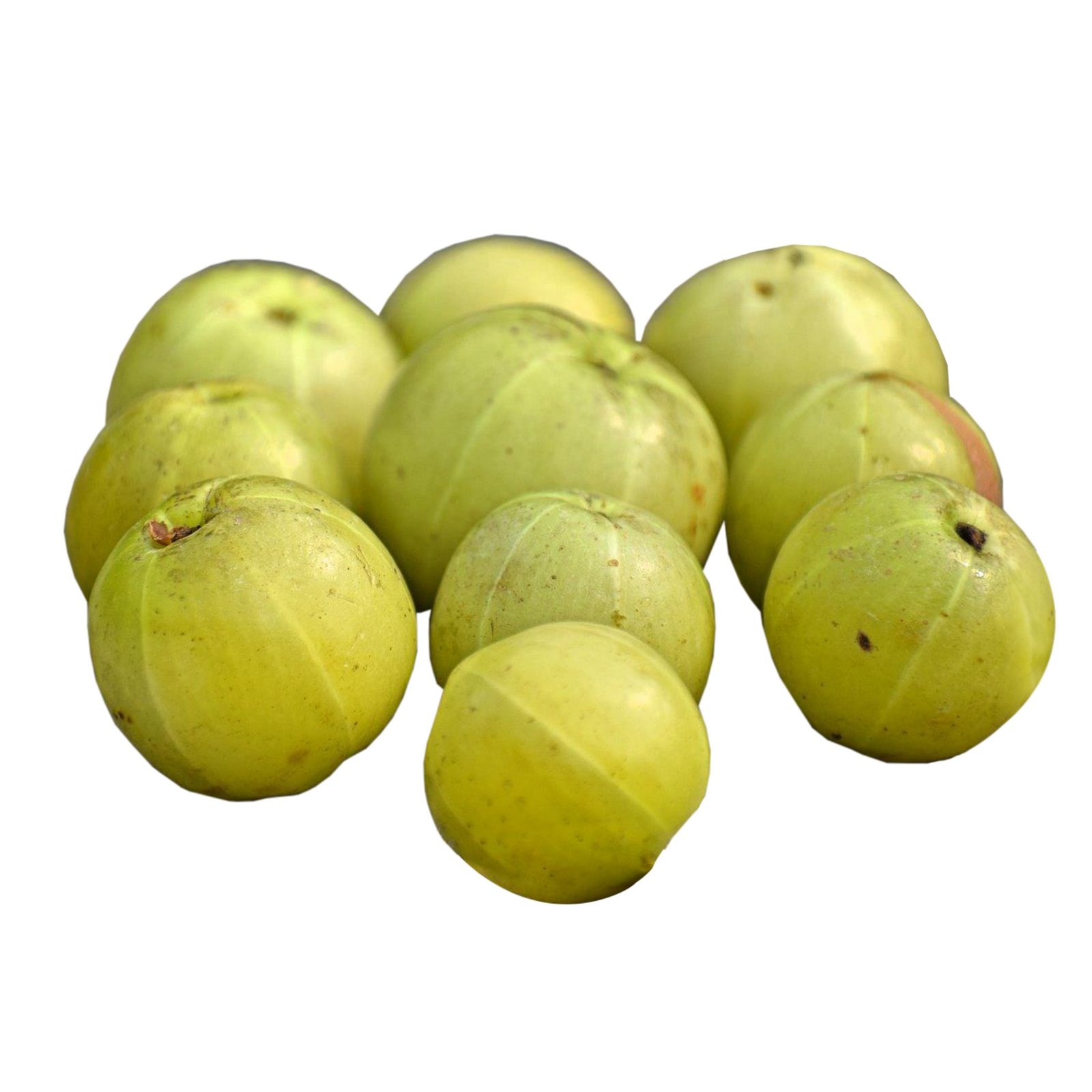 Amla (Phyllanthus emblica) Image