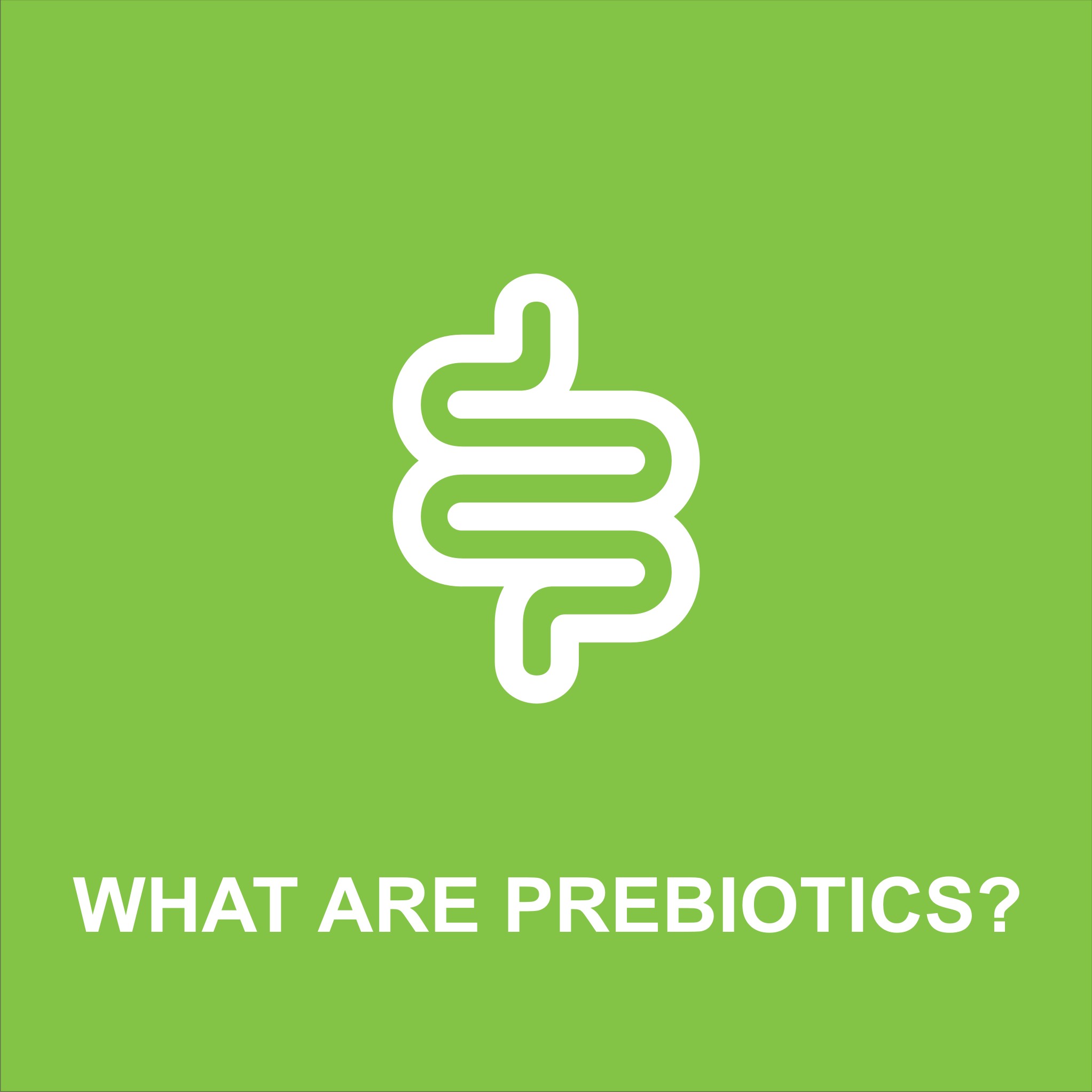 Prebiotics Image