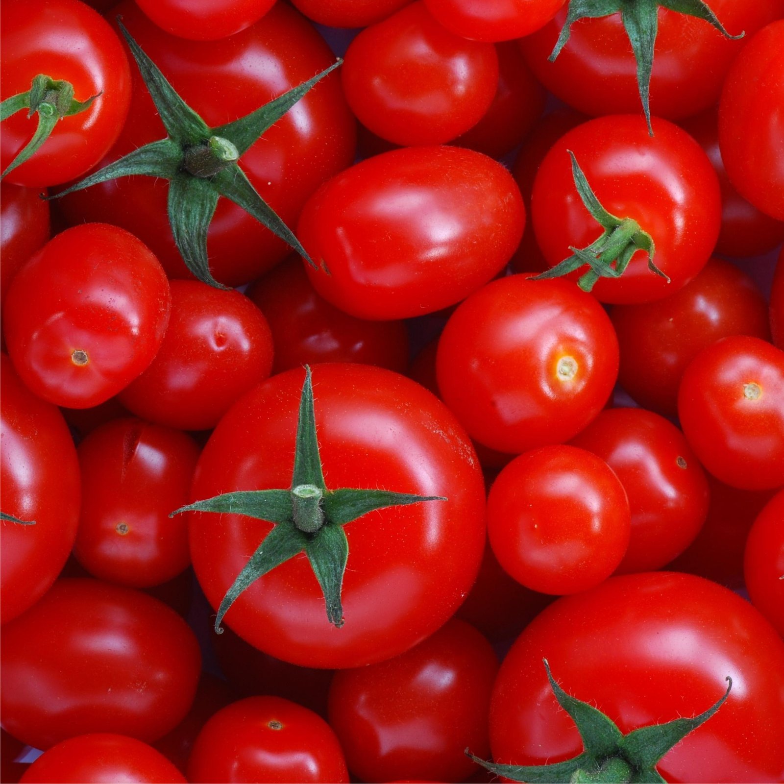 Lycopene Image