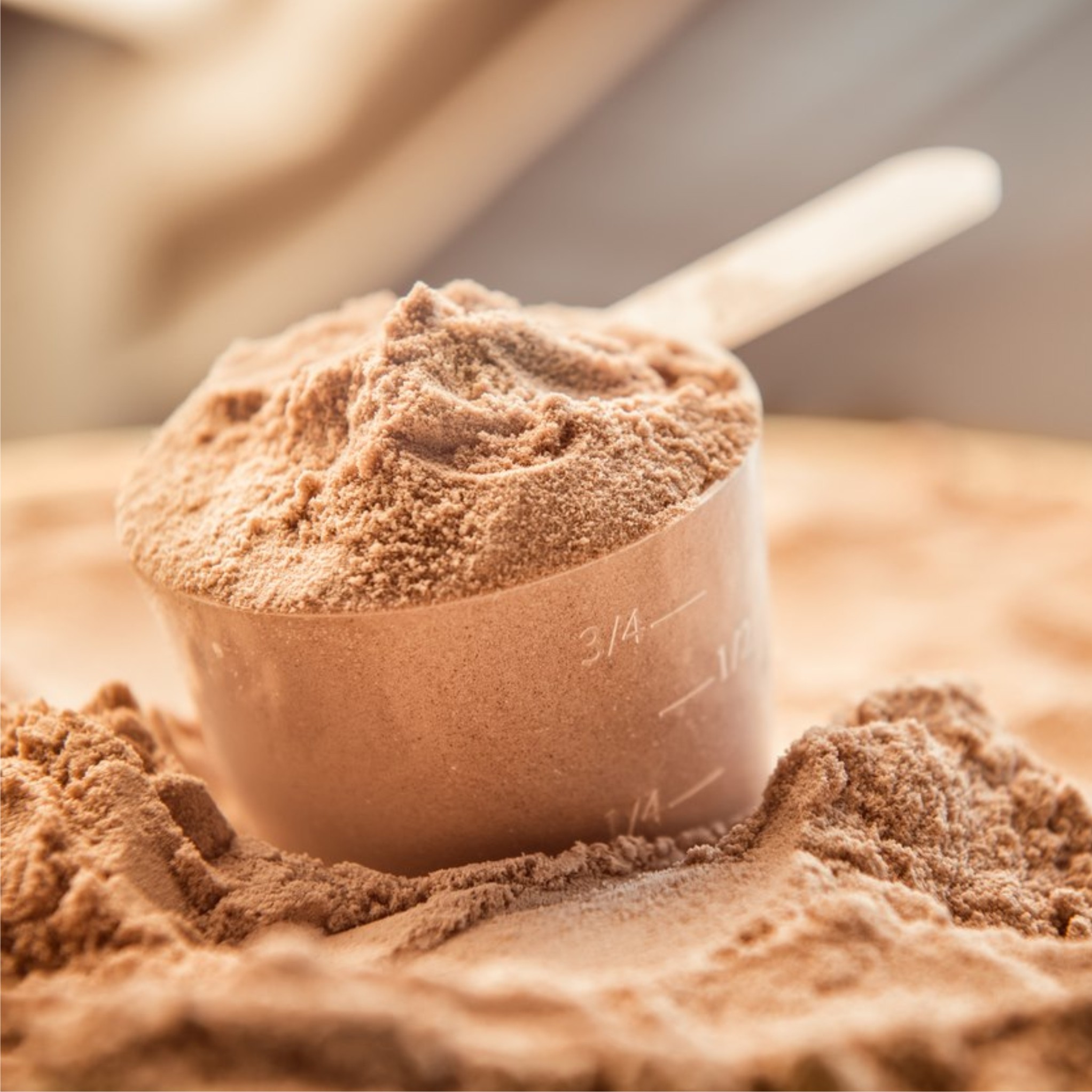 Whey Protein Powder Image